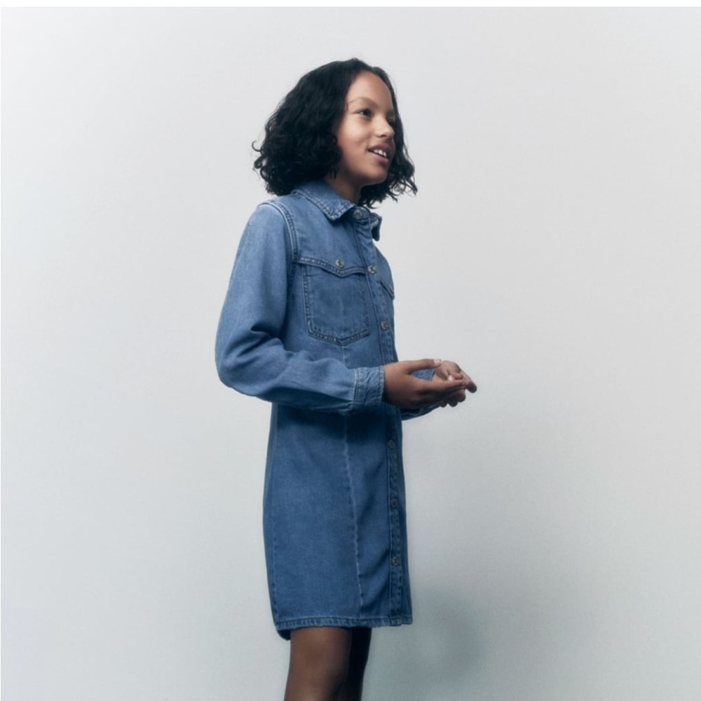 Zara denim dress
